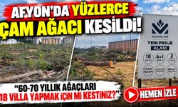 Afyon’da yüzlerce çam ağacı kesildi! “60-70 yıllık ağaçları 18 villa yapmak için mi kestiniz?”