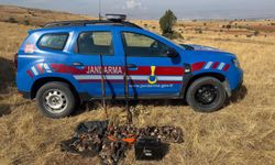 Afyon'da 41 bıldırcın vurdular! 233 bin TL ceza yediler