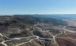 Afyon'da yangın sonrası iki tür kayıp mı? Saz kedisi ve çakal görüntülenemedi