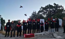Şuhut’taki istasyonda yetiştirildiler: 200 keklik doğaya salındı
