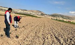 Afyon’da tarımsal arazi tespit çalışmaları sürüyor
