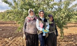 Afyon'da bitki sağlığını tehdit eden etmene önelik saha kontrolleri yapıldı