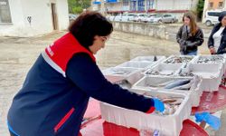 Afyon Dazkırı'da balık satış noktaları denetlendi