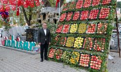 Bilecik'in Nar Üretiminde Kalbi İnhisar'da Atıyor: 4 Bin 514 Tonla Birinci