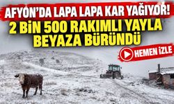 Afyon'da lapa lapa kar yağıyor! 2 bin 500 rakımlı yayla beyaza büründü