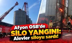 Afyon OSB'de silo yangını: Alevler siloyu sardı!