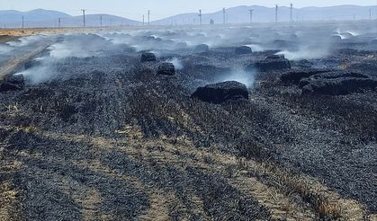 Afyon'da 65 dekarlık tarım arazisi kül oldu!