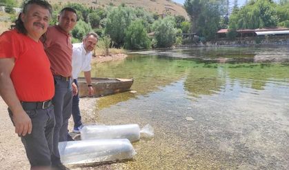 Dinar'da 5 gölete 100 bin balık bırakıldı