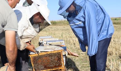 Arı ve bal üretimi noktasında Emirdağ merkez haline geldi