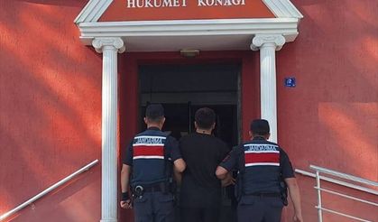 Aydın'da iş yerinden incir çaldığı öne sürülen şüpheli tutuklandı