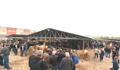 Sandıklı' da hayvan pazarı yeni yerinde açıldı