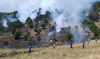 Konya Davras Mahallesi Yakınlarında Orman Yangını Çıktı