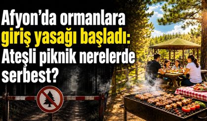 Afyon’da ormanlara giriş yasağı başladı: Ateşli piknik nerelerde serbest?