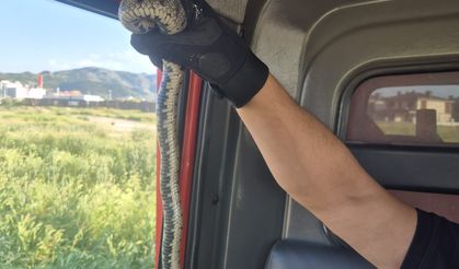 Afyon'da evde yılan paniği: Gören şok oldu!