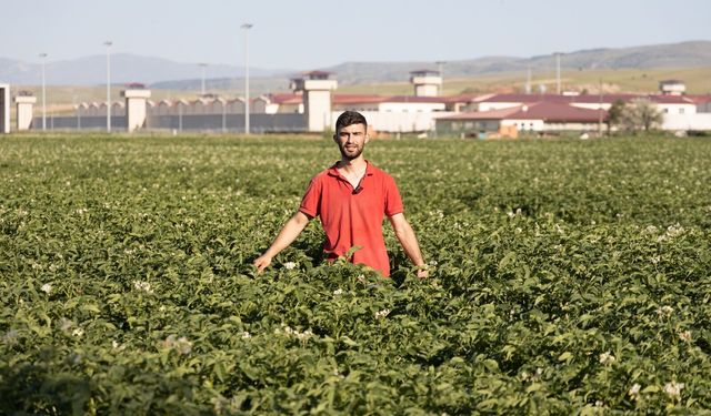 Afyon şivesiyle TikTok’ta milyonlarca izleniyor: Tarım ve hayvancılıktan hiç kopmadı...