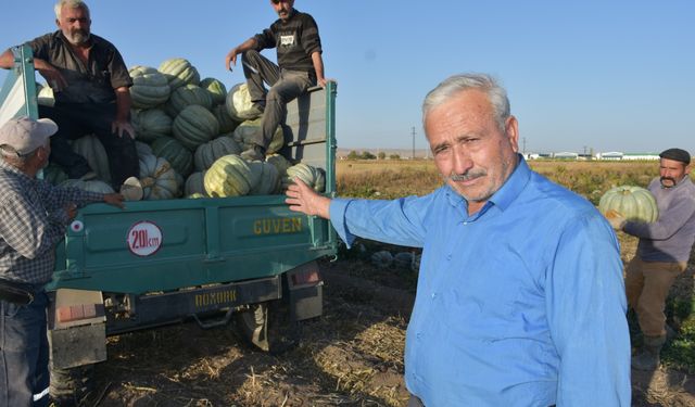 Afyon'da bal kabağı hasadı başladı:  bakın fiyatı ne kadar