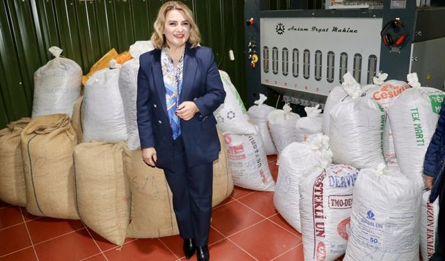 Migros Trabzon'dan 10 ton organik fındık aldı: Bakın neden?
