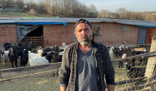 Geçimini hayvancılıkla sağlıyordu: Afyon'da keçilerini çalanları jandarma yakaladı