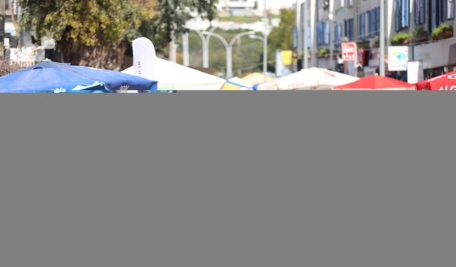 Şefler festivalde yöresel ot yemeklerini hazırlayacak