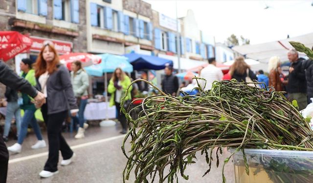 260 stant ile yöresel ürünler satışa sunuldu