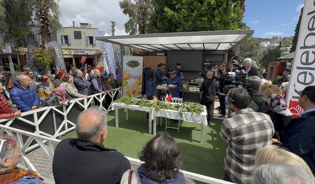 Bodrum'da düzenlenen 6. Acı Ot Festivali'nde yöresel lezzetler tanıtıldı