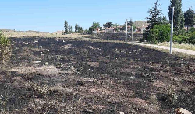 Eskişehir’de Torpil Yangını: 15 Dönüm Otluk Alan Kül Oldu