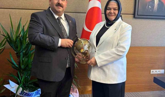 İnönü Belediye Başkanı Serhat Hamamcı’dan Ankara’da Yoğun Temaslar