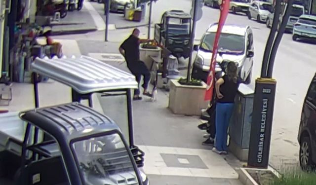 Köpeğine saldıran kediye tekme attı