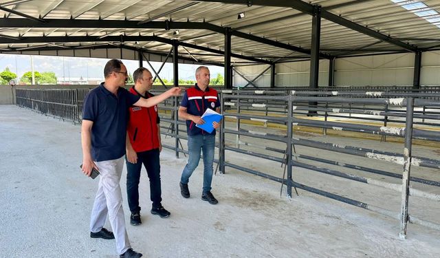 Afyon'da bir hayvan pazarı daha açılıyor: Şehrin en büyük ilçelerinden biri...
