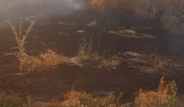 Afyon Şuhut'ta anız yangını: Alevler bir anda yayıldı, ürünler zarar gördü!