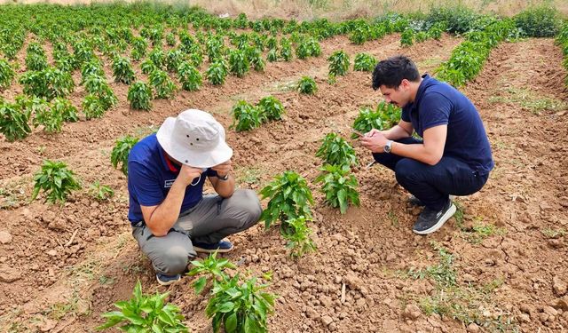 Afyon'da üreticilere bitki sağlığı uyarısı