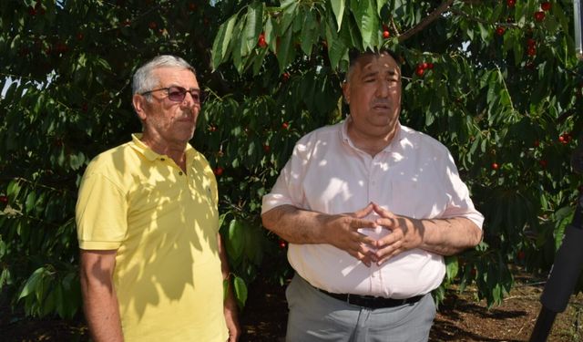 İYİ Partili Mısırlıoğlu: "25 liraya kiraz alınmaz, bu üreticiye 'üretme' demektir!"