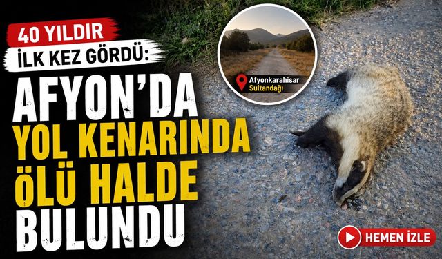 40 yıldır ilk kez gördü: Afyon’da yol kenarında ölü halde bulundu