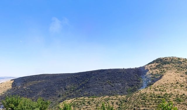 Afyon'da Kalecik’teki yangın söndürüldü: 150 hektarlık alan zarar gördü!