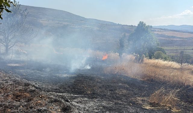 Bilecik Gölpazarı'nda Biçilmiş Buğday Tarlasında Yangın: Ekipler Hızla Müdahale Etti