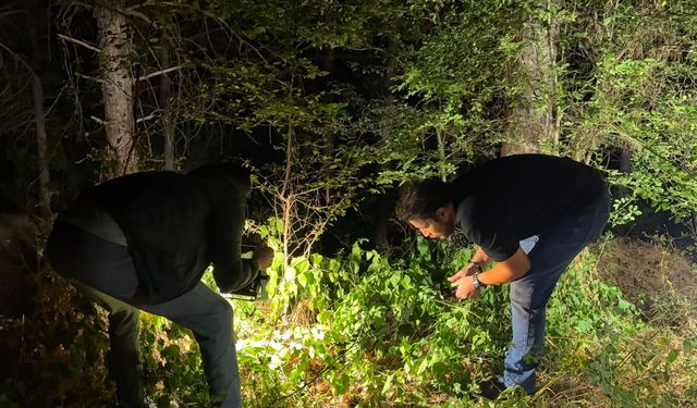 Kütahya’da ormanda silahlı yaralama: 1 kişi yakalandı