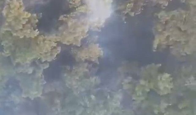Sındırgı’daki orman yangını 20’nci saatinde
