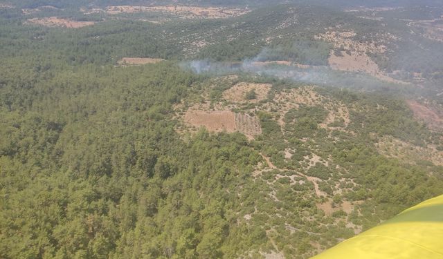 Muğla’da orman yangını kontrol altına alındı