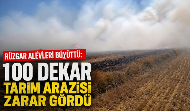 Sandıklı’da anız yangını: 100 dekar tarım arazisi zarar gördü