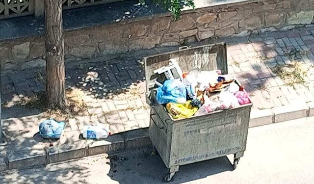 Afyon Kocatepe Mahallesi sakini: “Çöplerimiz alınmıyor!”