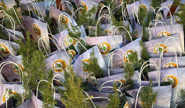 Afyon’da çocuklar geleceğe not bıraktı: İklim ağacında dikkat çeken mesajlar