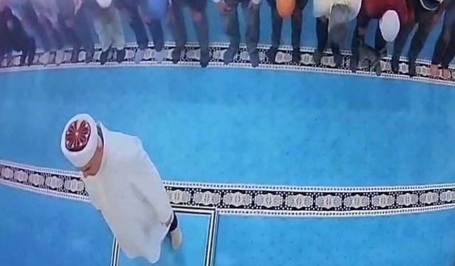 Camide kediyi tekmeledi: Gözaltına alındı