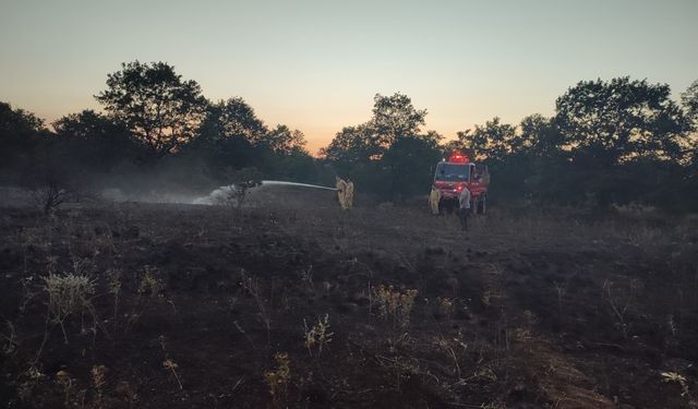 Bilecik Son Dakika: Yangın ormana sıçradı