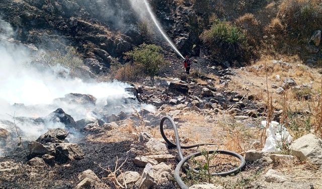 Şuhut’ta otluk alan alevlere teslim oldu: Ekipler seferber oldu