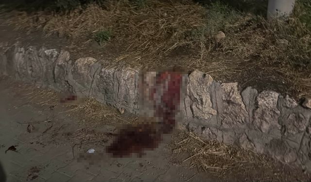 Eskişehir’de bıçaklı kavga: 17 yaşındaki çocuk ağır yaralandı