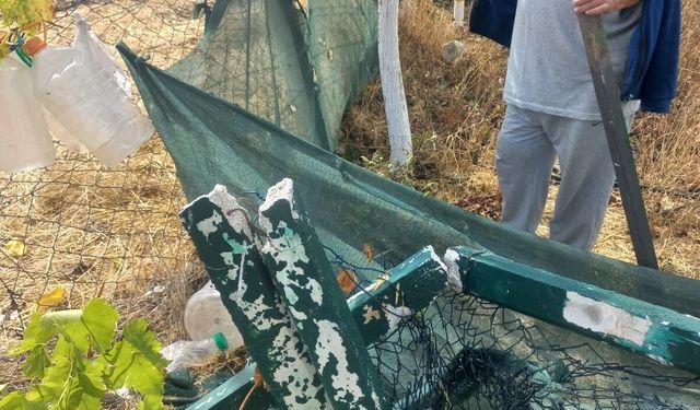 Eskişehir'de Bahçe Tellerine Zarar Veren Şüpheliler Aranıyor