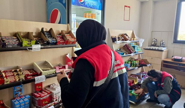 Afyon'da 3 ilçede gıda denetimi! İşletmeler tek tek kontrol edildi