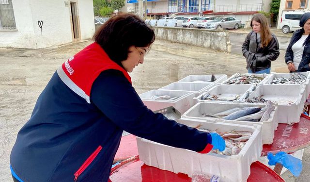 Afyon Dazkırı'da balık satış noktaları denetlendi