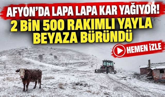 Afyon'da lapa lapa kar yağıyor! 2 bin 500 rakımlı yayla beyaza büründü