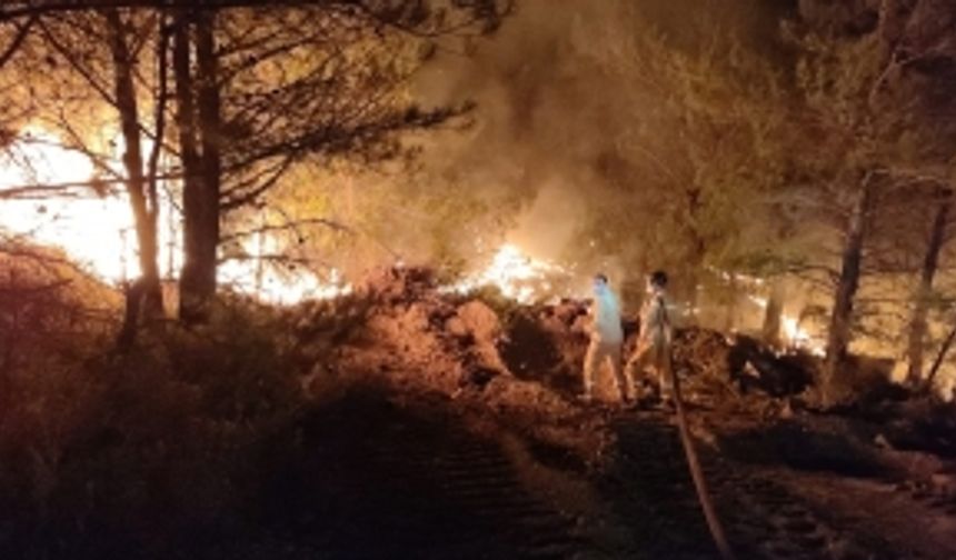 Datça'da orman yangını